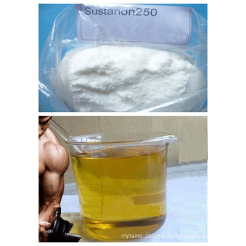 Muscle Builder Weight Loss Homebrew Steroids Testosterone Sustanon